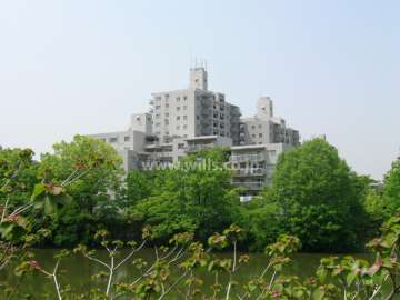 敷地の東側には『梨谷下池』があります。