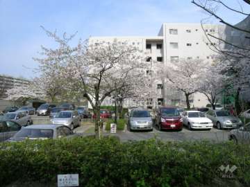 敷地内駐車場