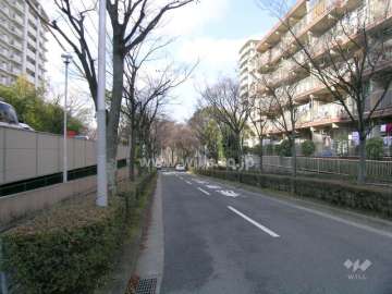 南側は並木のきれいな二車線の道路