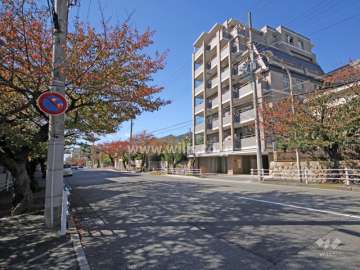 敷地南側の前面道路