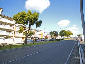 敷地南側の前面道路（山手幹線）