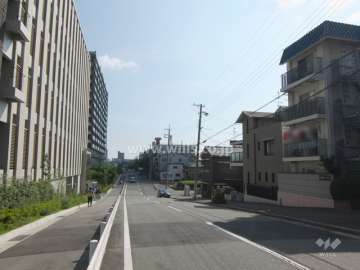 敷地北西側の前面道路。