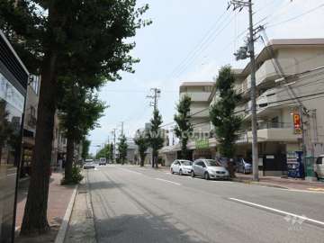 敷地南側の前面道路（東側から）