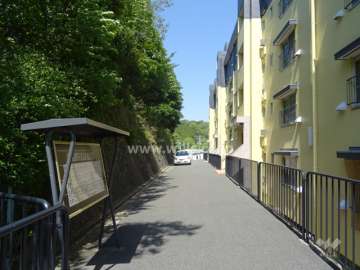 敷地北側の通路