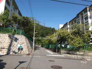 敷地北西側の前面道路