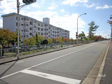 敷地北側の前面道路