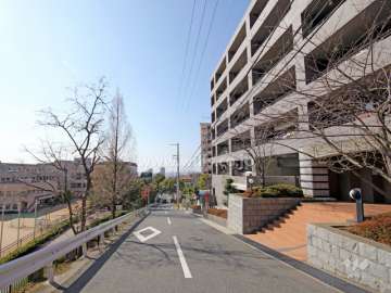 敷地東側の前面道路。道を挟んで親和学園があります。