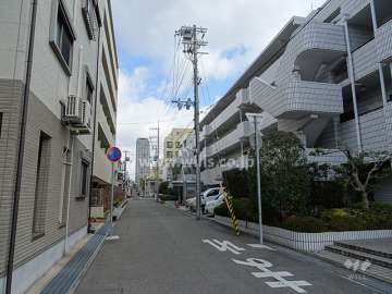 敷地北側の前面道路