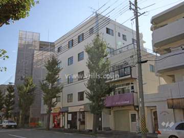 稗原マンション(北西側から)