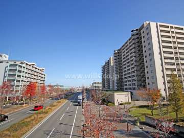 敷地北側の前面道路