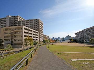 敷地西側の前面道路