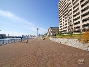敷地南側の遊歩道