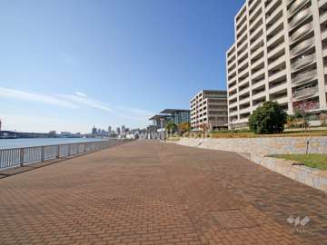 敷地南側の遊歩道