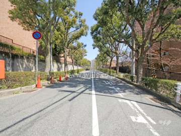 敷地北側の前面道路