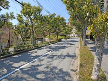 敷地東側の前面道路