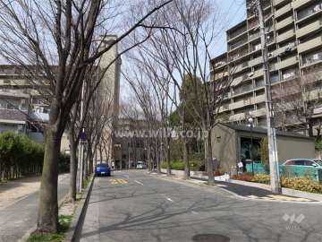 D棟の南西側は街路樹のきれいな通りに面しています。