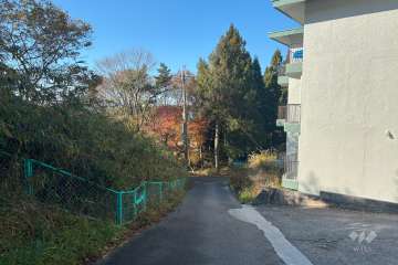 敷地南東側の前面道路（北東側から）