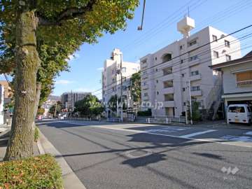 敷地北側の前面道路