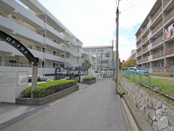 敷地北側の前面道路