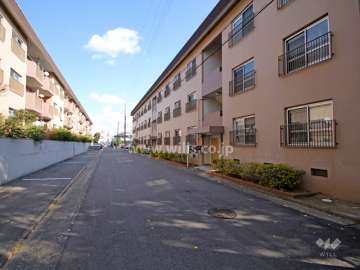 敷地北側の前面道路