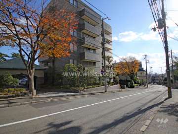 敷地西側の前面道路