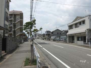 敷地北側の前面道路（東側から）