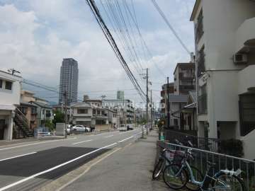 敷地北側の前面道路（西側から）