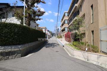 敷地西側の前面道路