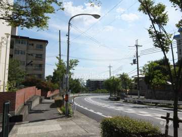 敷地西側の前面道路（北側から）