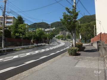 敷地西側の前面道路（南側から）