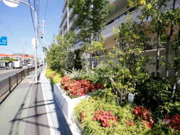 バス通りに側には植栽スペースが設けられています。