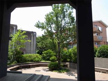 ピロティから見た敷地内の広場。中央の木を中心にベンチが囲む様に設置されています。