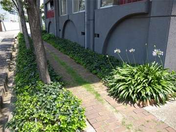 アプローチの両脇には植栽スペースが設けられています。