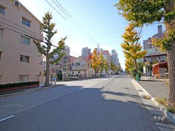 敷地北側の前面道路