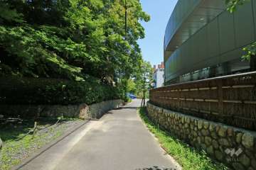 敷地西側の前面道路（南側から）