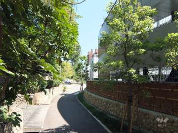 周辺は駅前ながら緑豊かで閑静な住宅地です。