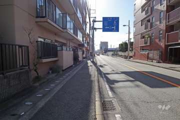 敷地西側の前面道路（国道176号線）