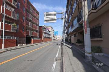 敷地西側の前面道路（国道176号線）