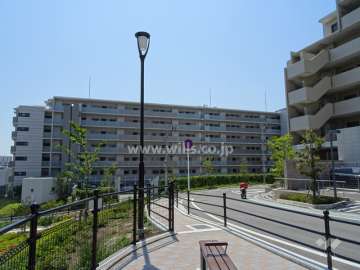 敷地北西側の前面道路（北側から）