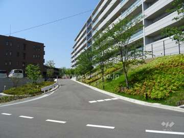 敷地南東側の前面道路（北東側から）