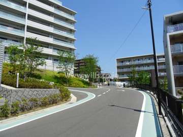 敷地東側の前面道路（南側から）