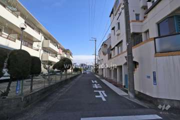 敷地北側の前面道路（西側から）