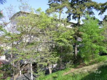 敷地の東側には高川が流れています。