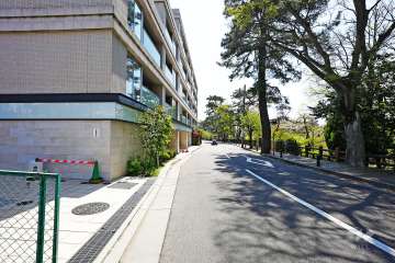 敷地西側の前面道路（北側から）