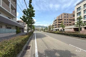 敷地東側の前面道路（南側から）