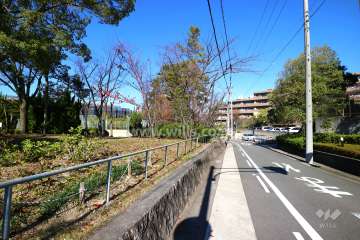 敷地南西側の前面道路２（写真左手に揚羽公園があります）