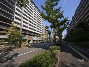 敷地南側の前面道路（府道135号豊中摂津線）