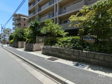 敷地内の各所に植栽スペースが設けられています。