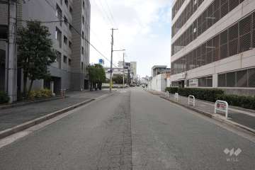 敷地北側の前面道路（東側から）