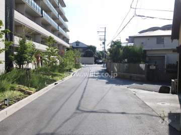 敷地南側の前面道路（西側から）